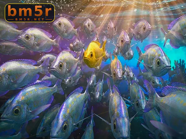 King of Fishing ပုံ ၁